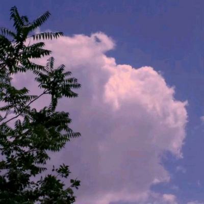 神都再临内购破解版下载